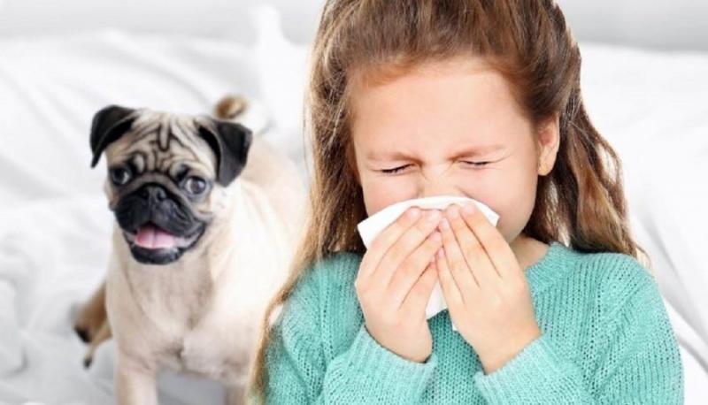 Hạn chế tiếp xúc với thú nuôi