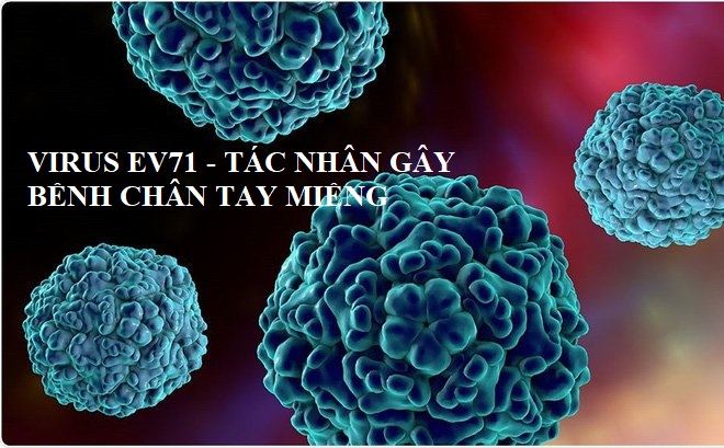 Điều trị chân tay miệng