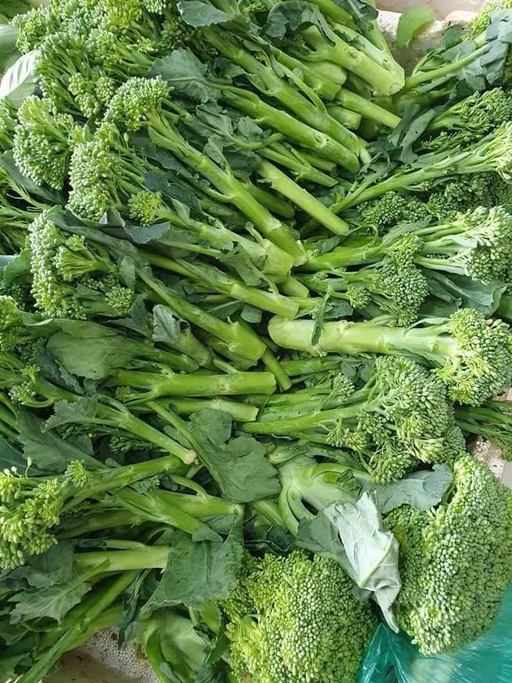 Thực Phẩm Tấn Tài