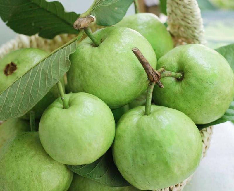 Thực Phẩm Tươi Sạch - Tam Kỳ