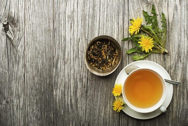 Thức uống từ cây bồ công anh