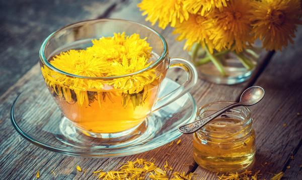 Thức uống từ cây bồ công anh