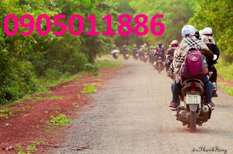 Thuê Xe Máy Đồng Hới Quảng Bình