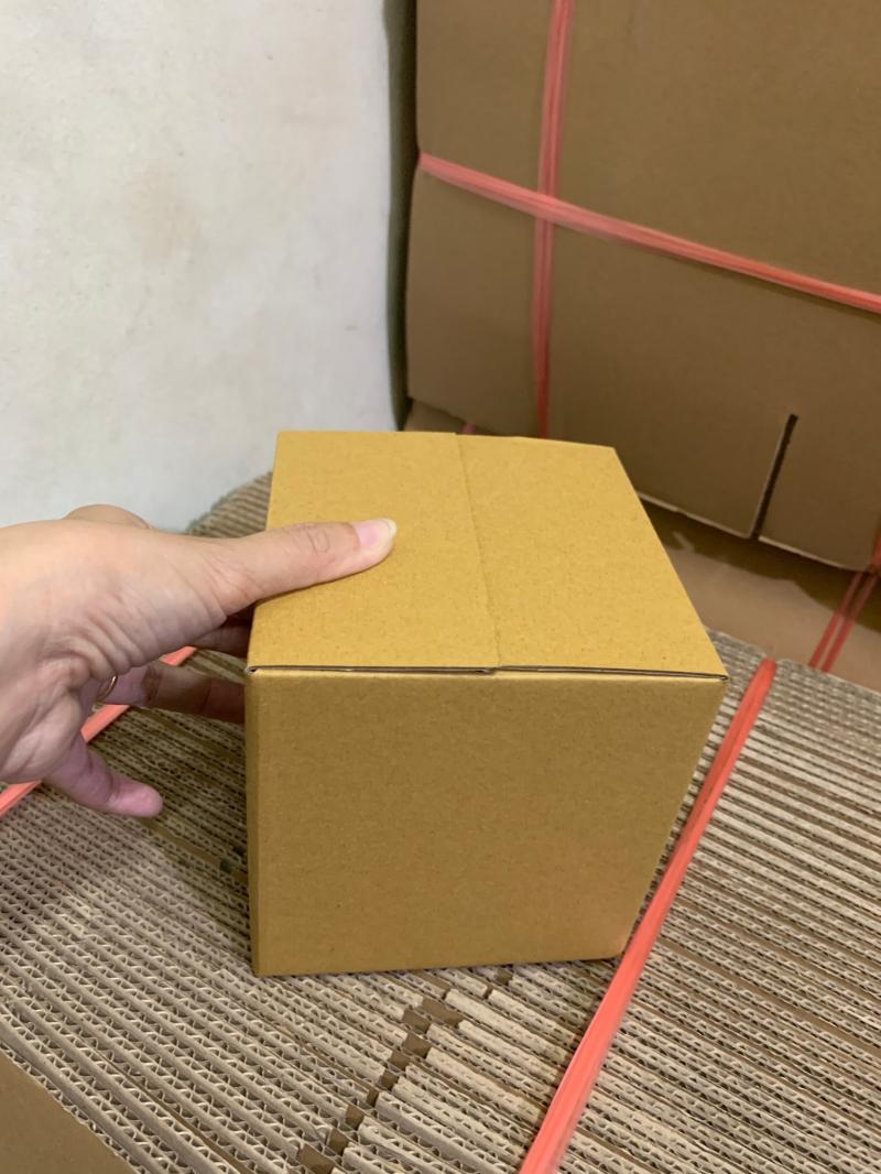 Thùng Carton SGN
