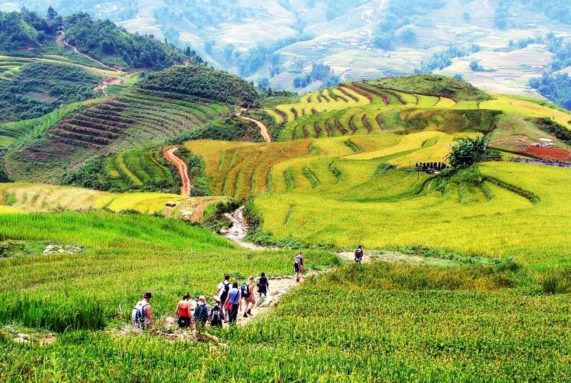 Thung lũng Mường Hoa - Bãi đá cổ