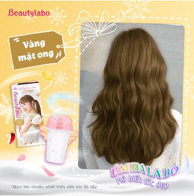 Thuốc nhuộm tóc dạng bọt Beautylabo Whip Hair Color