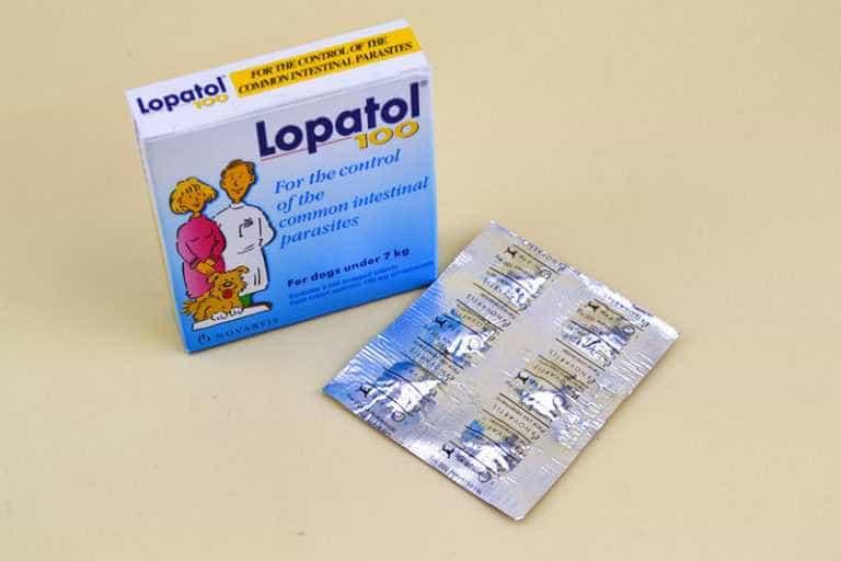 Thuốc tẩy giun chó Lapatol