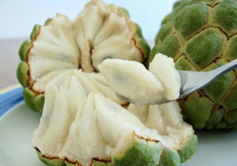 Hạt quả na có chứa độc tố