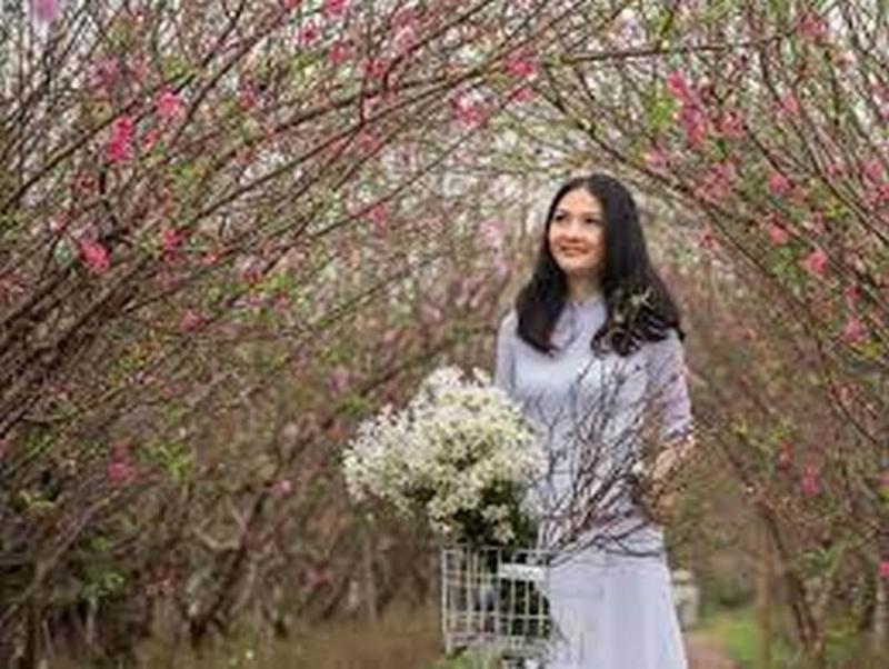 Ảnh minh họa (nguồn internet)