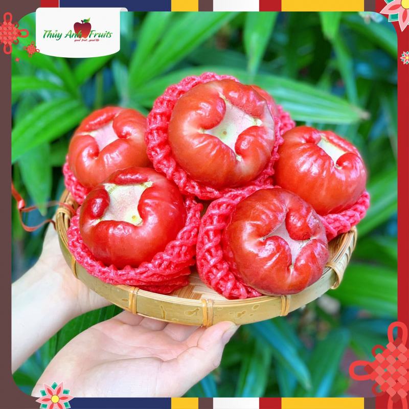 Thủy Anh Fruits