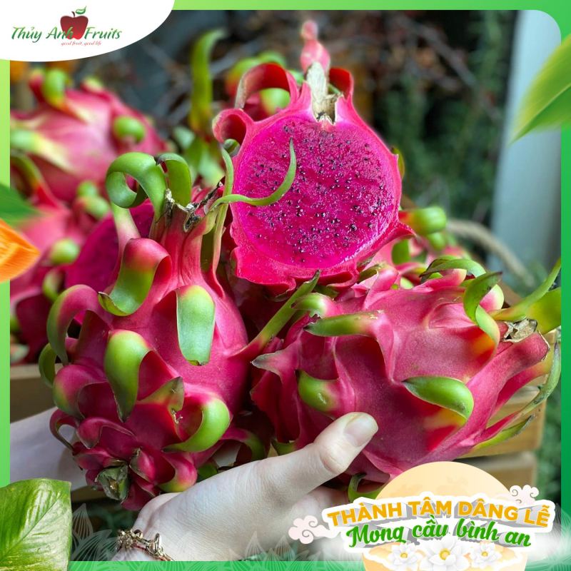 Thủy Anh Fruits
