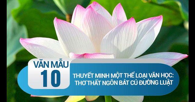 Thuyết minh về thể thơ Thất ngôn bát cú Đường luật - Bài 1