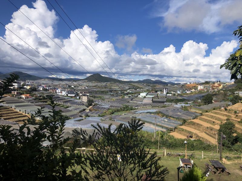 Tiệm cà phê Túi Mơ To