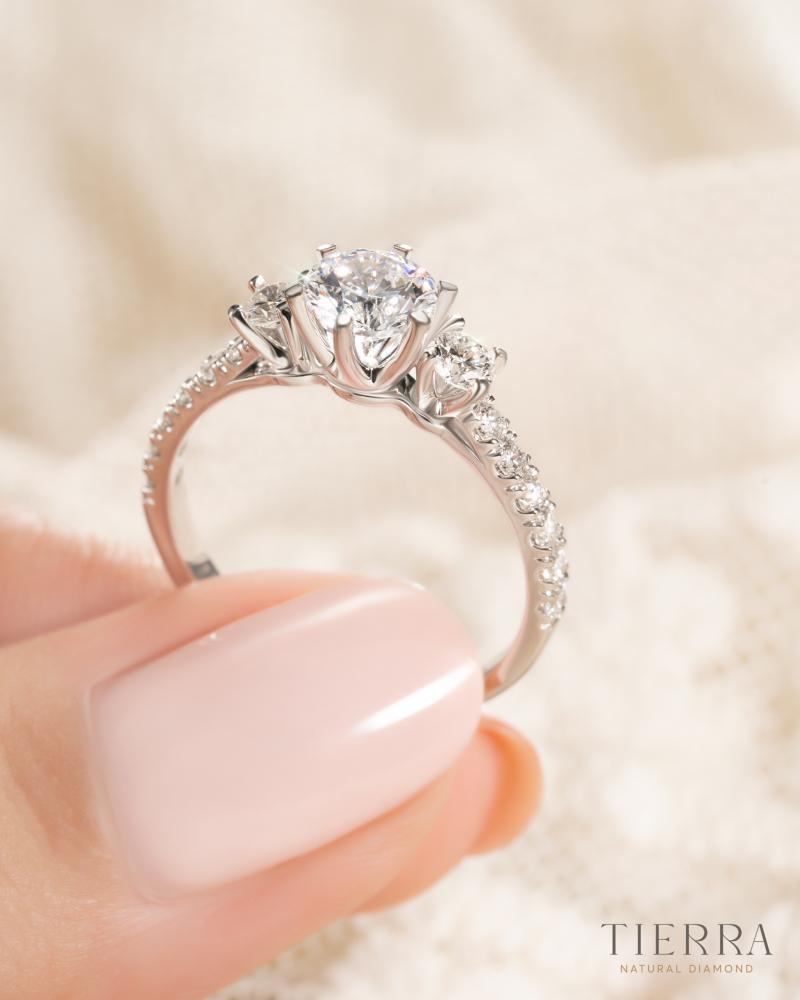 Tierra Diamond