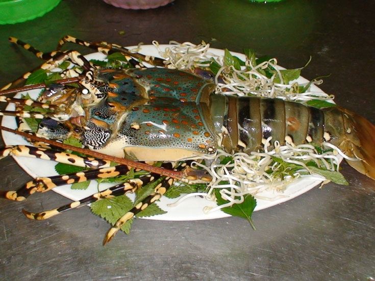 Tiết canh tôm hùm