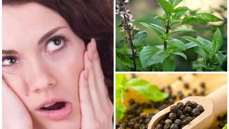 Tiêu đen và húng quế chống sưng viêm, đau nhức răng