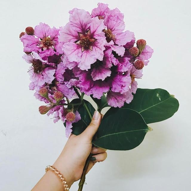 Những đóa hoa chứa đựng thông điệp
