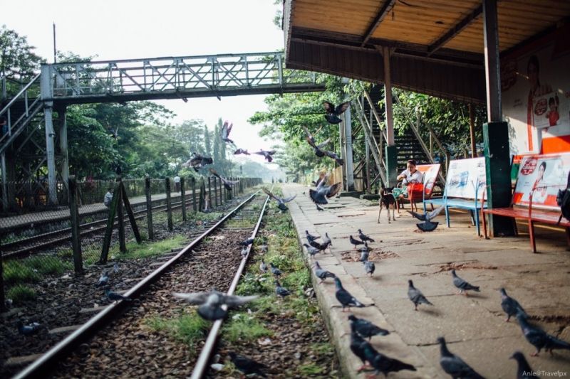 Tìm bình yên nơi đất Phật ở Yangon