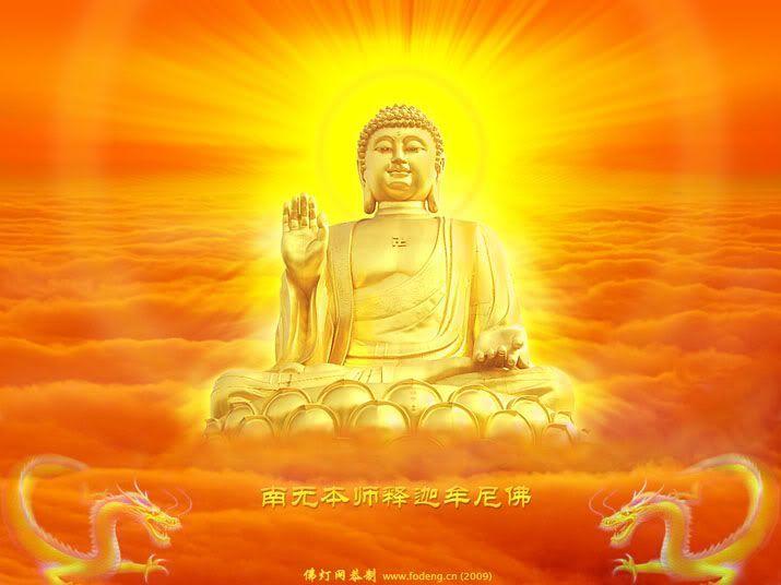 Tìm kim