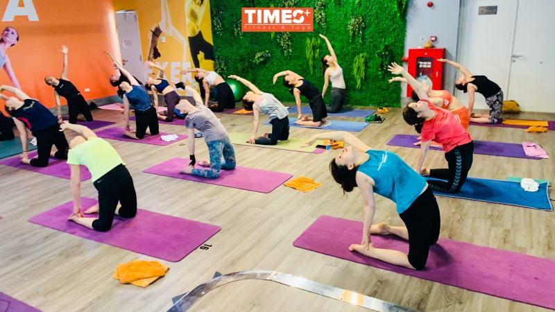 Times Plus Fitness & Yoga
