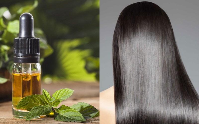 Tinh dầu bạc hà ngăn ngừa rụng tóc