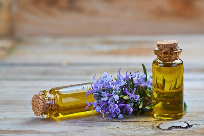 Tinh dầu hương thảo được chiết xuất từ lá và hoa nở của cây hương thảo
