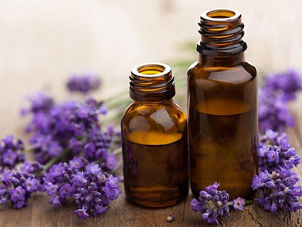 Tinh dầu oải hương hay tinh dầu Lavender