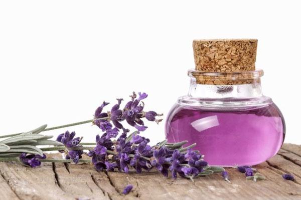 Tinh dầu oải hương nguyên chất chữa đau đầu ở phụ nữ