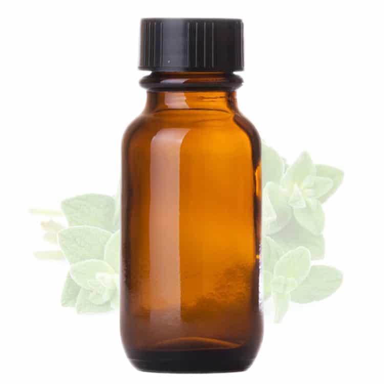Tinh dầu Oregano (kinh giới dại)