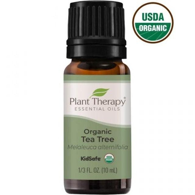 Tinh dầu tràm trà hữu cơ Plant Therapy