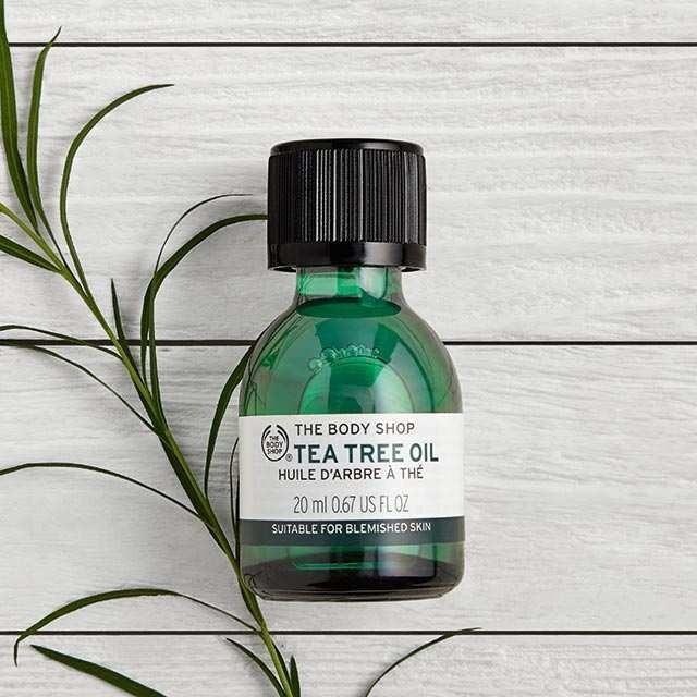 Tinh dầu tràm trà Tea Tree Oil