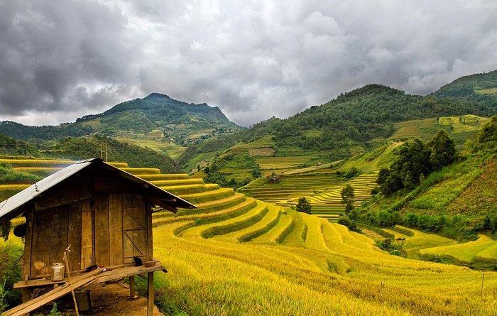 Tình yêu Yên Bái