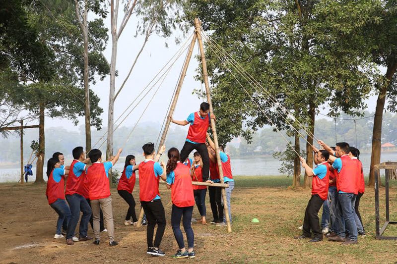 Tổ chức dã ngoại, du lịch