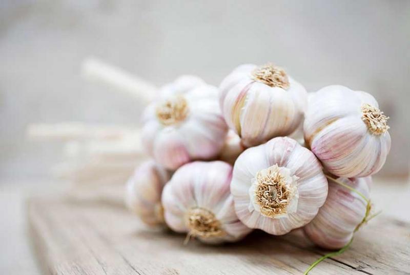 Tỏi là cách chữa đau răng cực kỳ hiệu quả