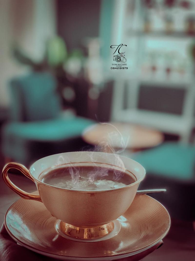 Tom & Café Studio