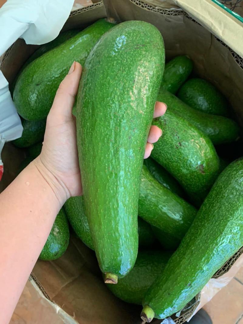 Tôm Fruits