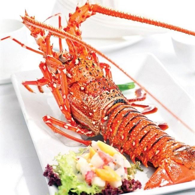 Tôm hùm được chế biến thành rất nhiều các món ngon