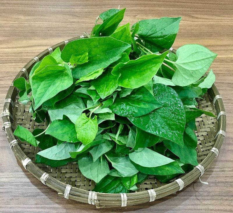 Toner diếp cá