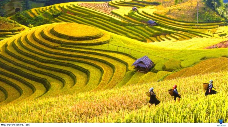 Ruộng bậc thang
