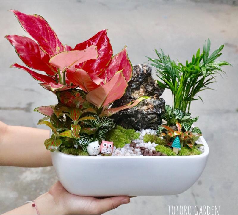 Totoro Garden