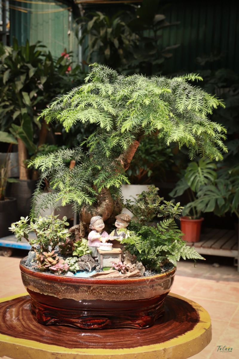 Totoro Garden