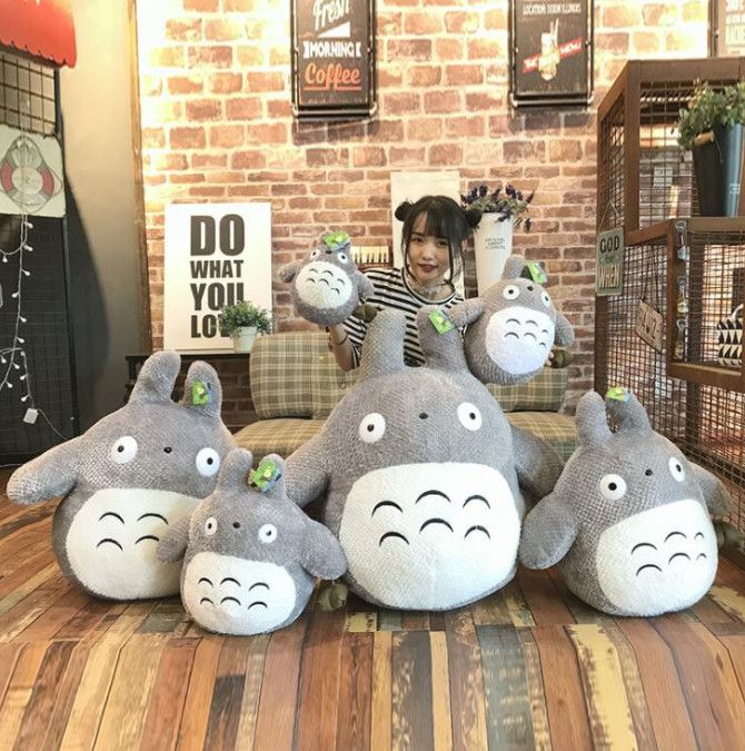 Totoro Việt Nam