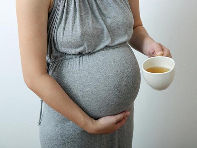 Trong y học cổ truyền, trà bạc hà từ lâu đã được sử dụng như một thức uống lành mạnh cho những người mắc chứng ốm nghén.