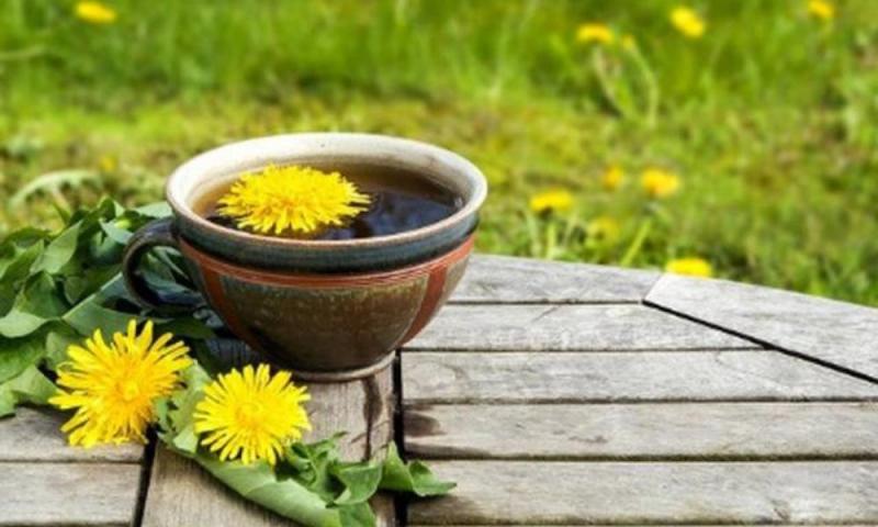 Nó chứa nhiều chất dinh dưỡng và hợp chất có tác động lợi cho hệ tiêu hóa