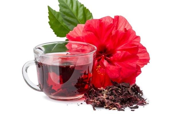 Trà Hibiscus (Atiso đỏ)