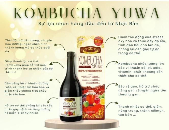 Trà lên men Kombucha Yuwa