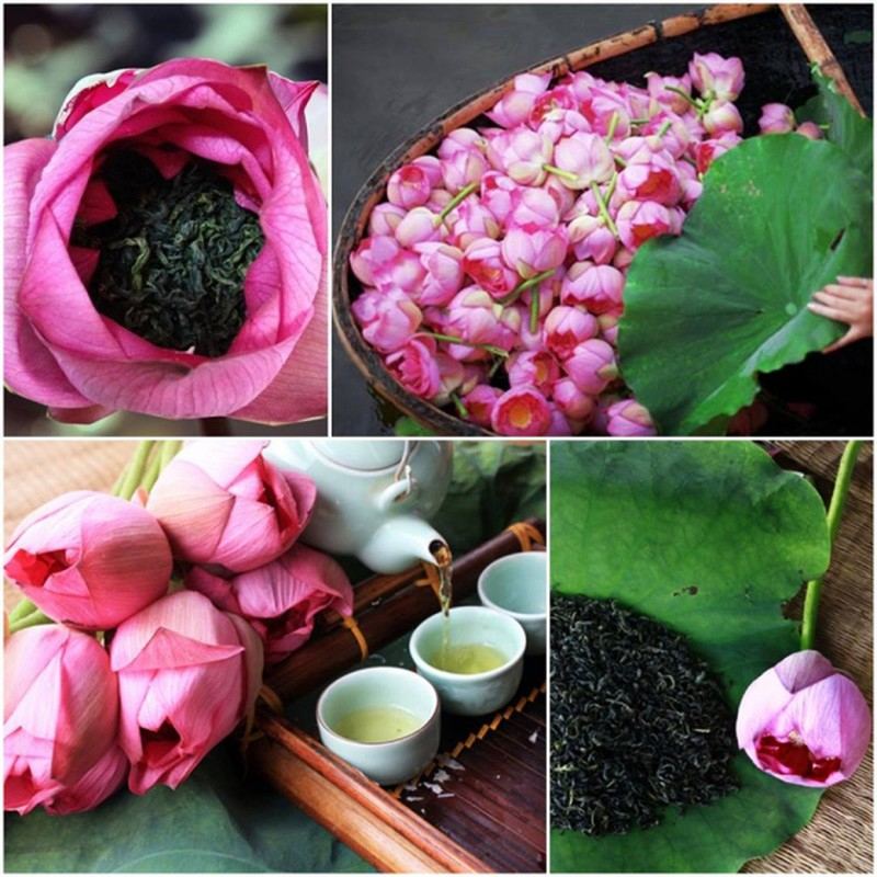 Trà sen hồ Tây chính hiệu được chế biến rất cầu kì