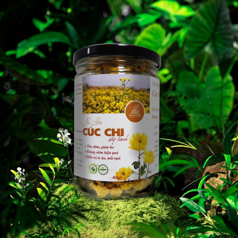 Trà thảo mộc nụ hoa cúc chi Dalat Cordyceps