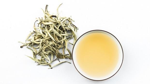 Trà trắng mang lại nhiều lợi ích tuyệt vời