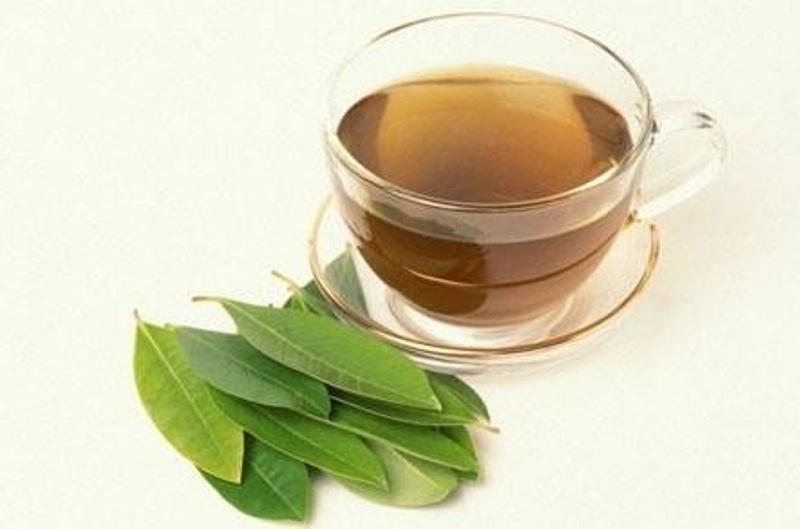 Trà vối